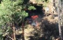 ЗСУ перекрили зв'язок окупантам на Сватівсько-Куп’янському напрямку (відео)