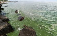 Біля берегів Одеси у морі розпочалися небезпечні процеси: експерти пояснили, що коїться (фото, відео)