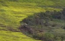 Росіян на Бахмутському напрямку мінусують з мінометів та гранатометів: яскраве відео