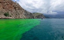 "Незрозуміло що": місцеві показали кислотно-зелену воду нібито з Криму (фото, відео)