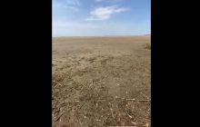 Моторошно обміліле Каховське водосховище показали на відео