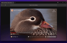 Найбільш захищений браузер став доступним для всіх: можна завантажити й забути про рекламу