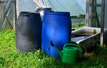 Как спасти воду в баке от цветения и что делать, если уже позеленела: секретный лайфхак