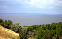 Половодье на Великом Лугу: эксперт объяснил, стоит ли ждать затопления территории