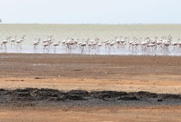 На Одещині фенікси облаштували 160 будинків (фото)