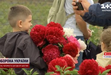 Заквітло найбільше півонієве поле в Україні: за красою потягнулись туристи