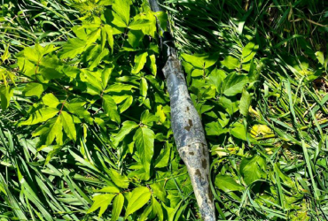 На Киевщине рыбак выловил из озера боеприпас к РПГ (фото)