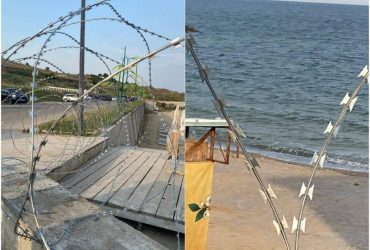 К Одесскому заливу начало прибивать трупы животных и имущество пострадавших людей (видео)