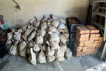 Сім'я під час прибирання виявила несподівану знахідку, вона може допомогти розбагатіти (фото)