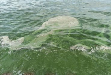 В Одесской области Черное море инфицирует колодцы: какая ситуация с водой в регионе