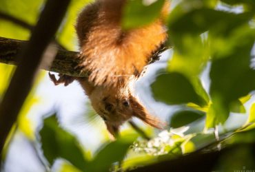 Синоптик Диденко пообещала украинцам почти идеальную температуру 29 июня