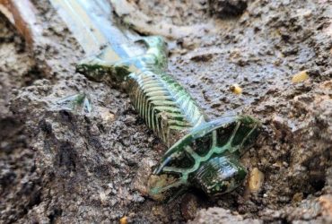 У Німеччині знайшли меч, викуваний понад 3000 років тому (фото)