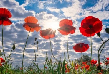 Яка погода чекає на українців у липні: прогноз Укргідрометцентру