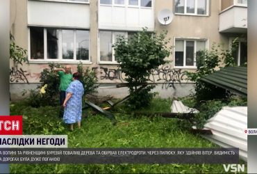 Ненастье бурлит не только на Прикарпатье: на Волыни оборваны линии электропередач и повалены деревья