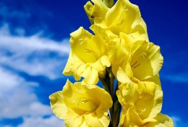 На вихідних погода в Україні зміниться