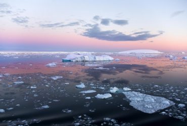 Россия и Китай заблокировали создание трех заповедников в Антарктиде