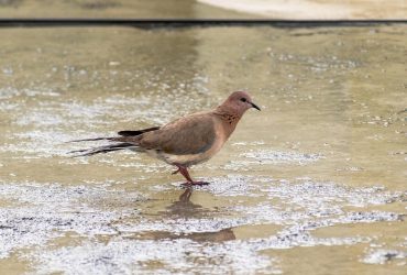 Синоптик прогнозує зміну погоди в Україні: до чого готуватись