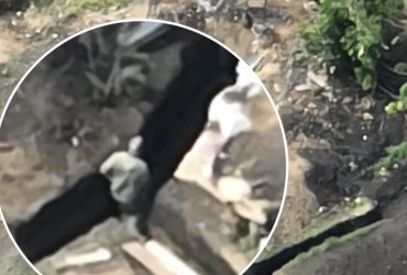 На фронті пісяючий хлопчик розкрив ворожий склад боєприпасів та піхоту (відео)