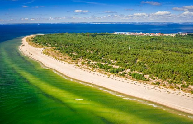 Highway to Hel: у Польщі віруючі домоглися скасування "сатанинського" автобусу 666