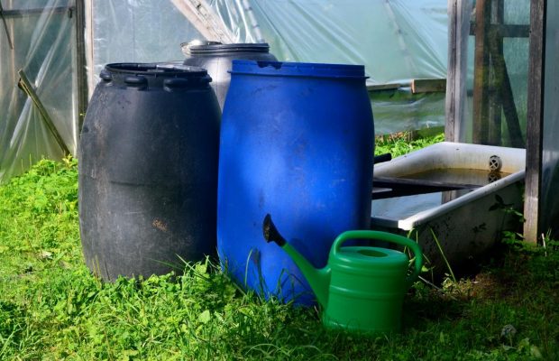 Как спасти воду в баке от цветения и что делать, если уже позеленела: секретный лайфхак