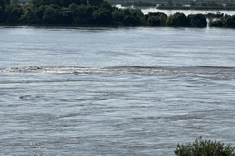 В Херсонской области в водоемах все еще ядовитая вода / фото скриншот видео В Херсонской области в водоемах все еще ядовитая вода / фото скриншот видео