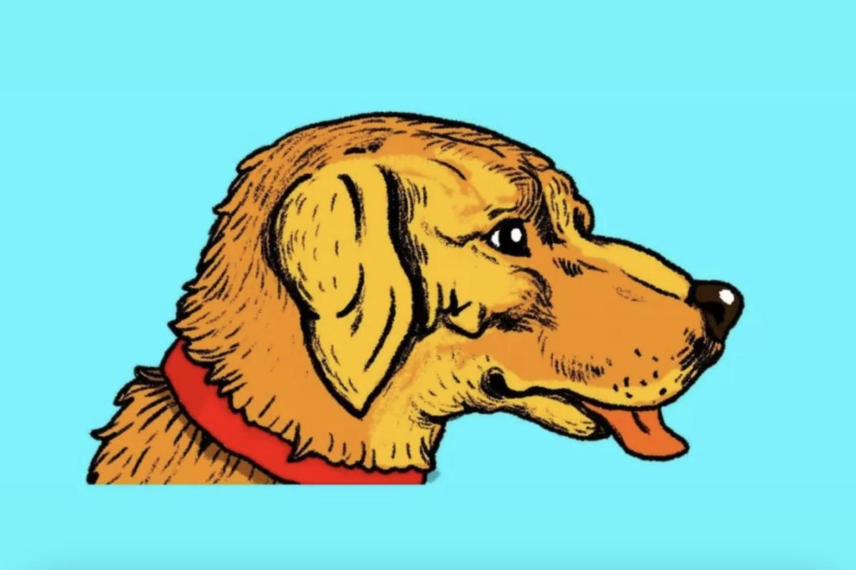 Це не просто зображення собаки - в ілюзії приховано обличчя людини / фото AdMe  Це не просто зображення собаки - в ілюзії приховано обличчя людини / фото AdMe