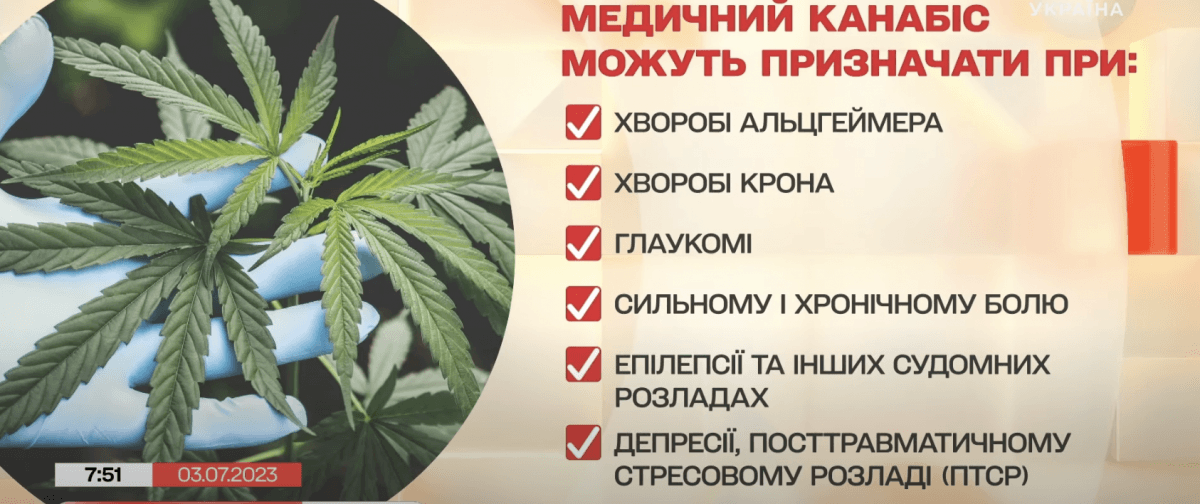 Українцям детально пояснили, чому медичний канабіс потрібен у нашій країні (відео) Українцям детально пояснили, чому медичний канабіс потрібен у нашій країні (відео)