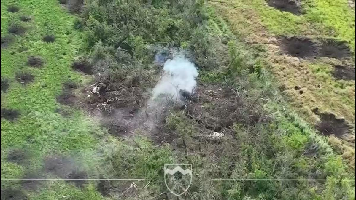 Триває контрнаступ ЗСУ / Скріншот