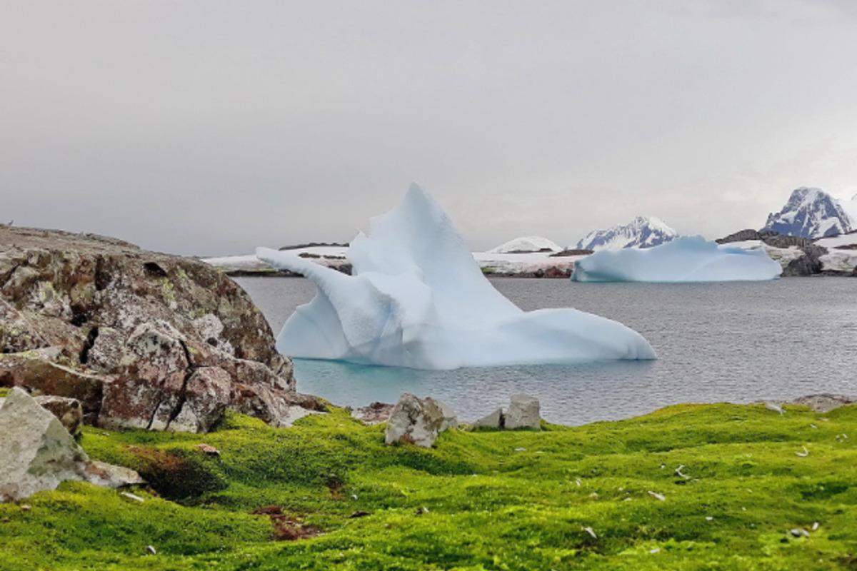 В Антарктиці зафіксовано температурний рекорд / фото facebook.com/AntarcticCenter В Антарктиці зафіксовано температурний рекорд / фото facebook.com/AntarcticCenter
