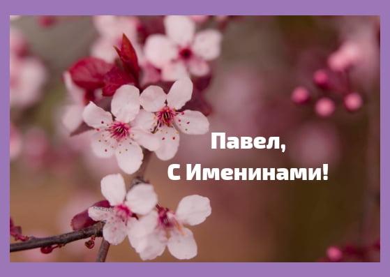 С Днем ангела Павла 2023 / фото klike.net С Днем ангела Павла 2023 / фото klike.net