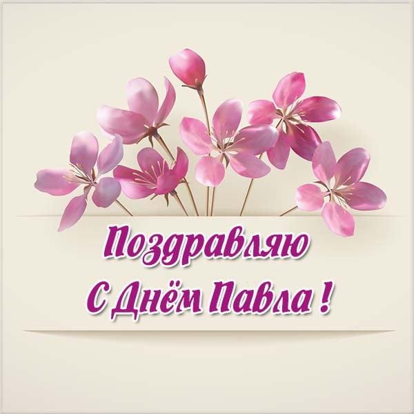 Открытки с Днем ангела Павла / фото klike.net Открытки с Днем ангела Павла / фото klike.net