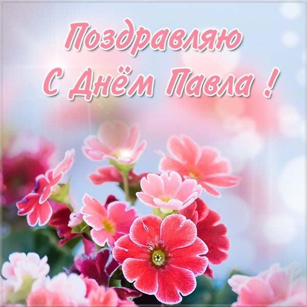 С Днем ангела Павла поздравления / фото klike.net С Днем ангела Павла поздравления / фото klike.net