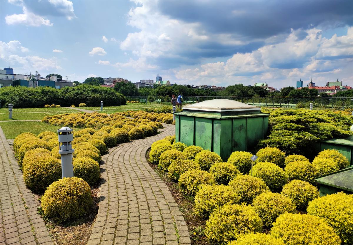 Ботсад на даху Варшавського університету дуже люблять туристи / фото Марина Григоренко Ботсад на даху Варшавського університету дуже люблять туристи / фото Марина Григоренко