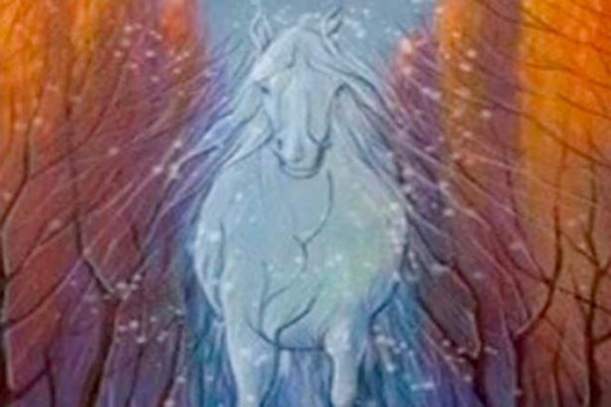 Оптическая иллюзия стала вирусной / фото evianlee/TikTok Оптическая иллюзия стала вирусной / фото evianlee/TikTok