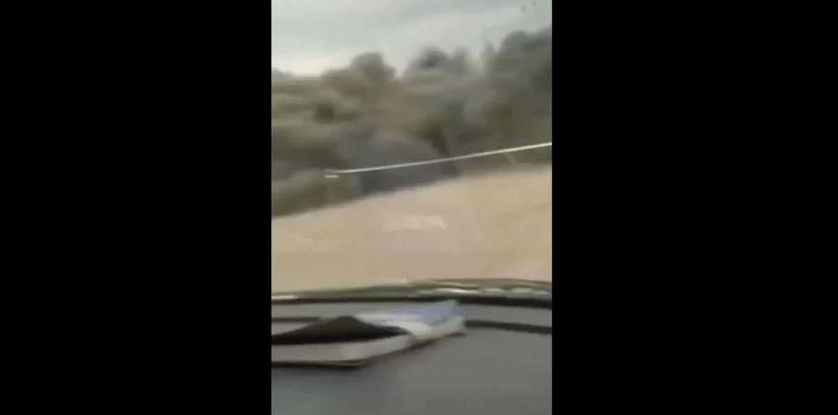 В сети показали "прилет" по Алешкам / скриншот В сети показали "прилет" по Алешкам / скриншот