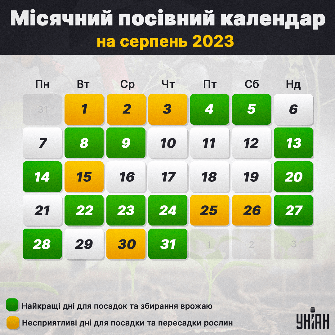Місячний посівний календар на серпень 2023 таблиця / фото УНІАН Місячний посівний календар на серпень 2023 таблиця / фото УНІАН