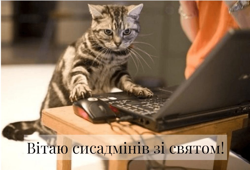Привітання з Днем сисадміна/ фото klike.net Привітання з Днем сисадміна/ фото klike.net