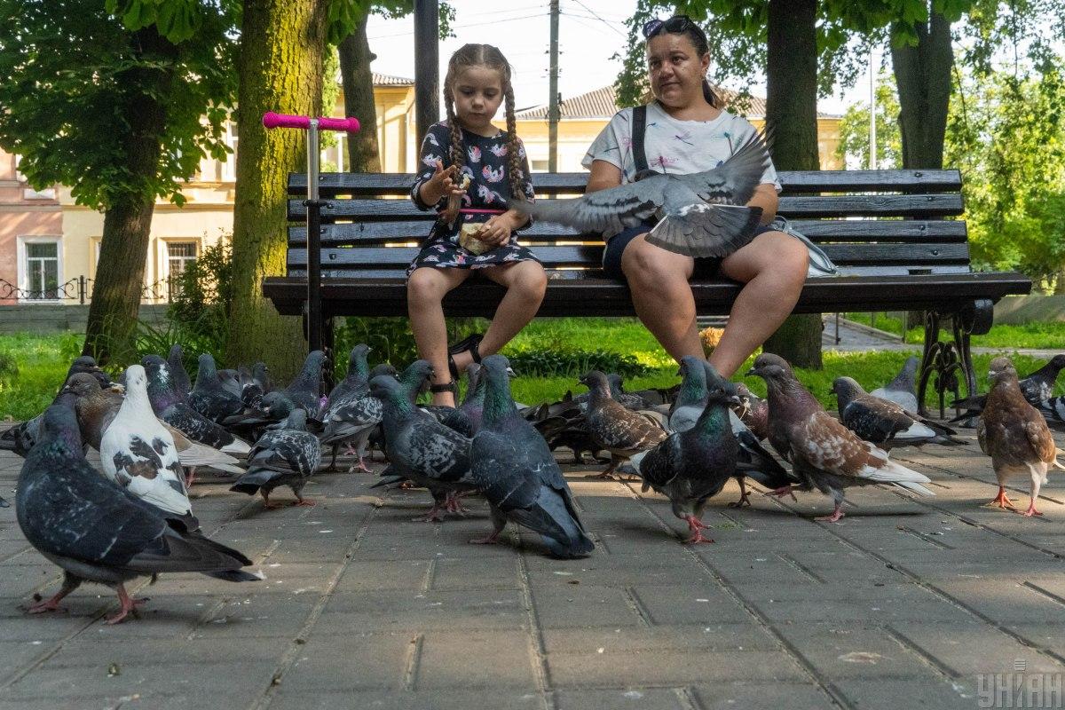 3 липня в Києві буде до +29° / фото УНІАН, Марієнко Андрій 3 липня в Києві буде до +29° / фото УНІАН, Марієнко Андрій