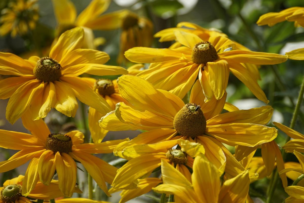 На вихідних погода в Україні стабілізується / фото beauty_of_nature / Pixabay На вихідних погода в Україні стабілізується / фото beauty_of_nature / Pixabay