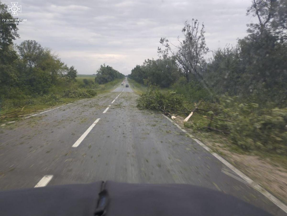 Понад десяток дерев впали на трасу обласного значення / фото ДСНС Понад десяток дерев впали на трасу обласного значення / фото ДСНС