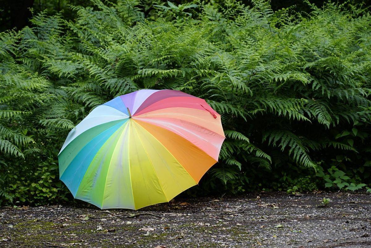 https://images.unian.net/photos/2023_07/1690551011-1507.jpg?r=570454