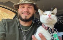 Відомий "бойовий кіт" Шайба повернувся до власника-військового: його шукали три тижні