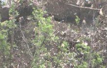 Окупанти накивали п'ятами після "м'ясних" прильотів від ЗСУ біля Бахмута (відео)