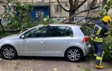 Негода наробила лиха в Харкові: повалені дерева, пошкоджено автівки (відео)