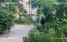 У Криму пролунав дуже потужний вибух: хто міг бути ціллю (фото, відео)