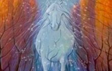 Кінь, хуртовина або дерева: нова оптична ілюзія розкриє секрети вашої особистості