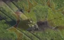 Росіяни зганьбилися пафосним "знищенням" Leopard: у пропаганди щось "пішло не так" (відео)