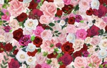 Лише пильні користувачі мережі знайдуть приховані обручки серед квітів - часу обмаль