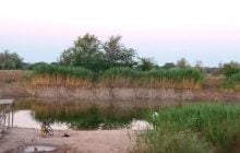 Удар по Каховській ГЕС: почав пересихати Північнокримський канал поблизу Джанкоя (фото)