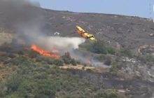 В Греции при тушении пожара разбился самолет: момент попал на видео